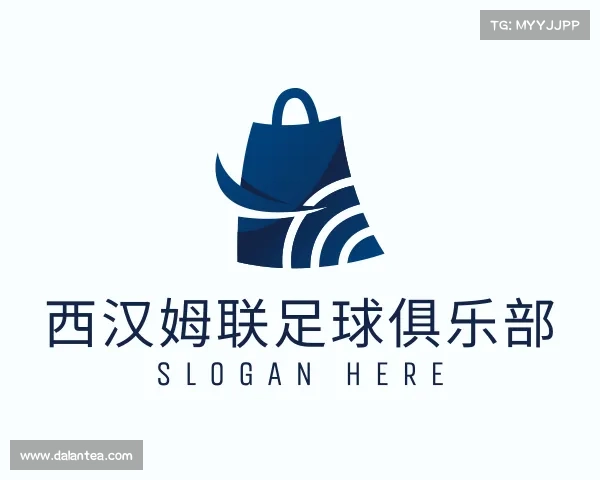 解读西汉姆联足球俱乐部